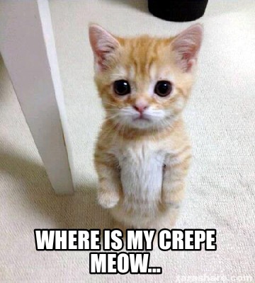 where-is-my-crepe-meow