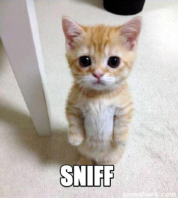 sniff9